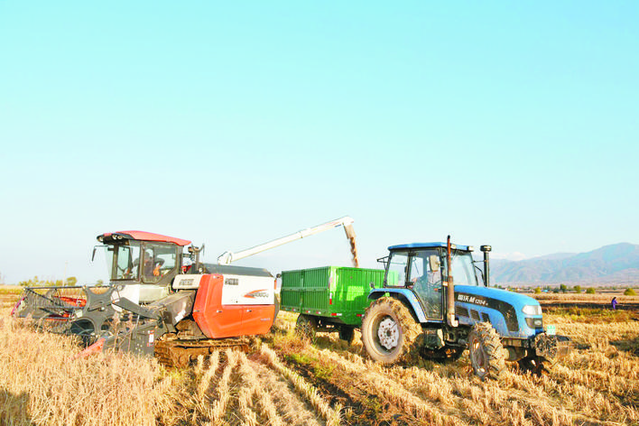庆丰收感党恩山东各地丰收节活动,庆丰收感党恩宴席背景图片