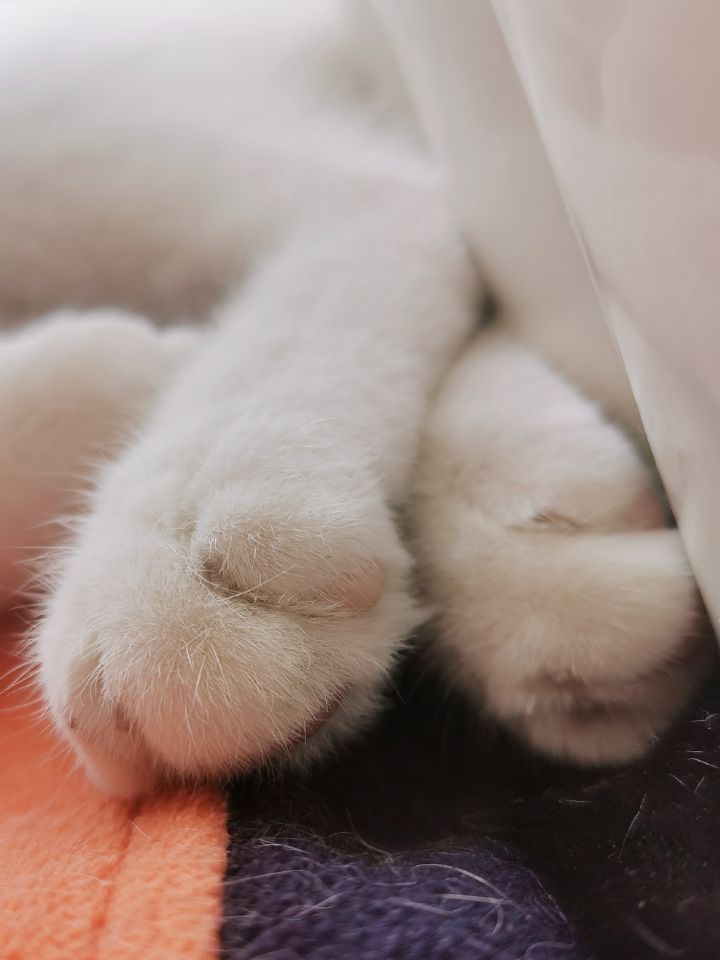 初三最后一个情人节,很难忘的一个情人节