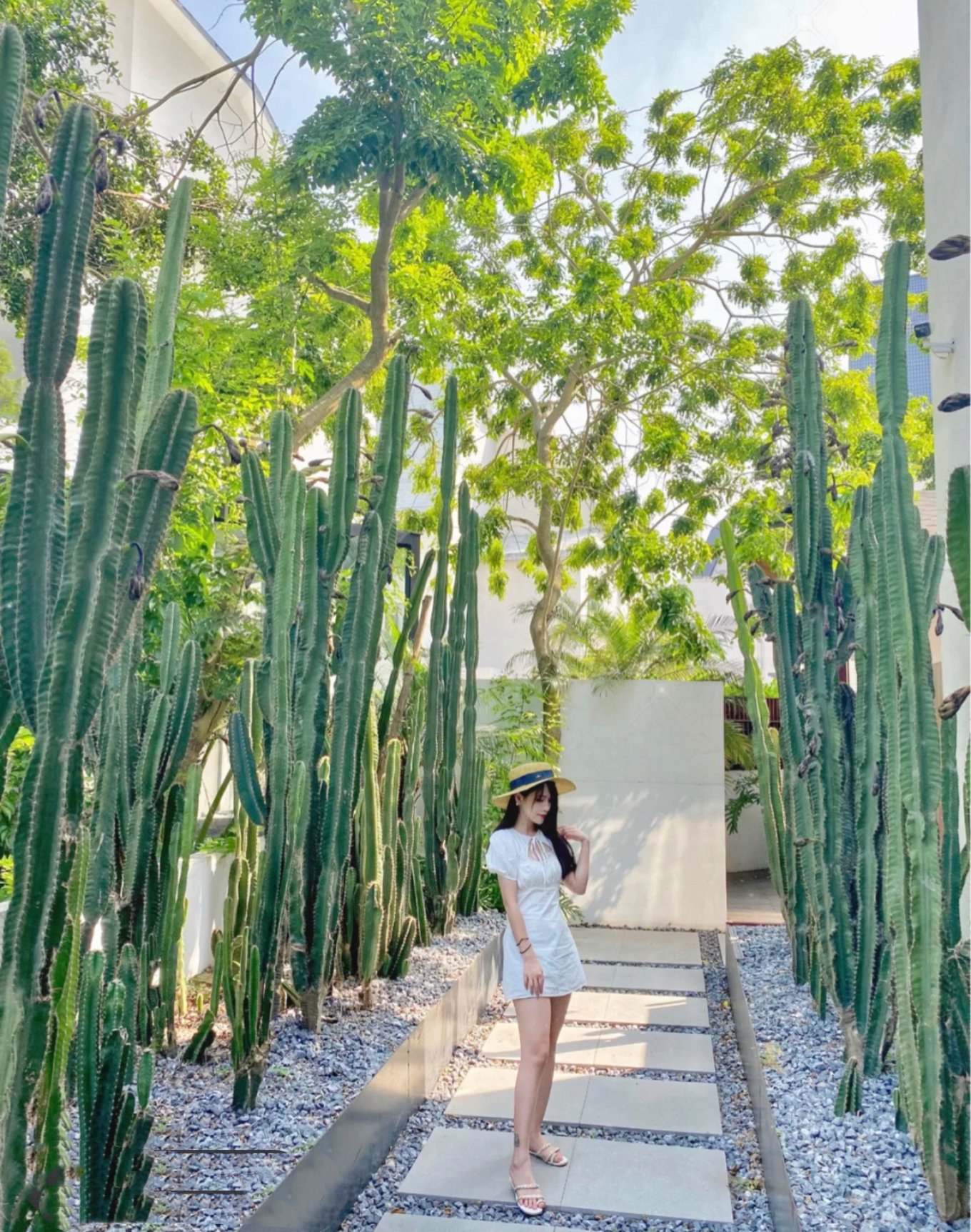 涠洲岛小众拍照庭院,涠洲岛小众看日落