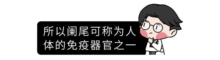 急性阑尾炎疼到什么程度,急性阑尾炎为什么那么急