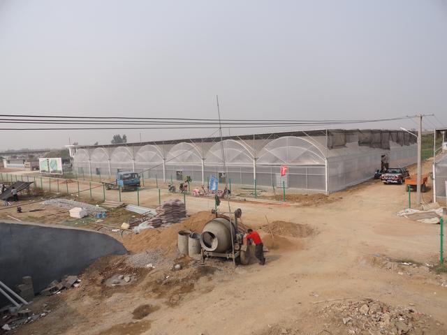 连栋温室大棚价格是多少钱一平方,薄膜连栋温室大棚多少钱一亩