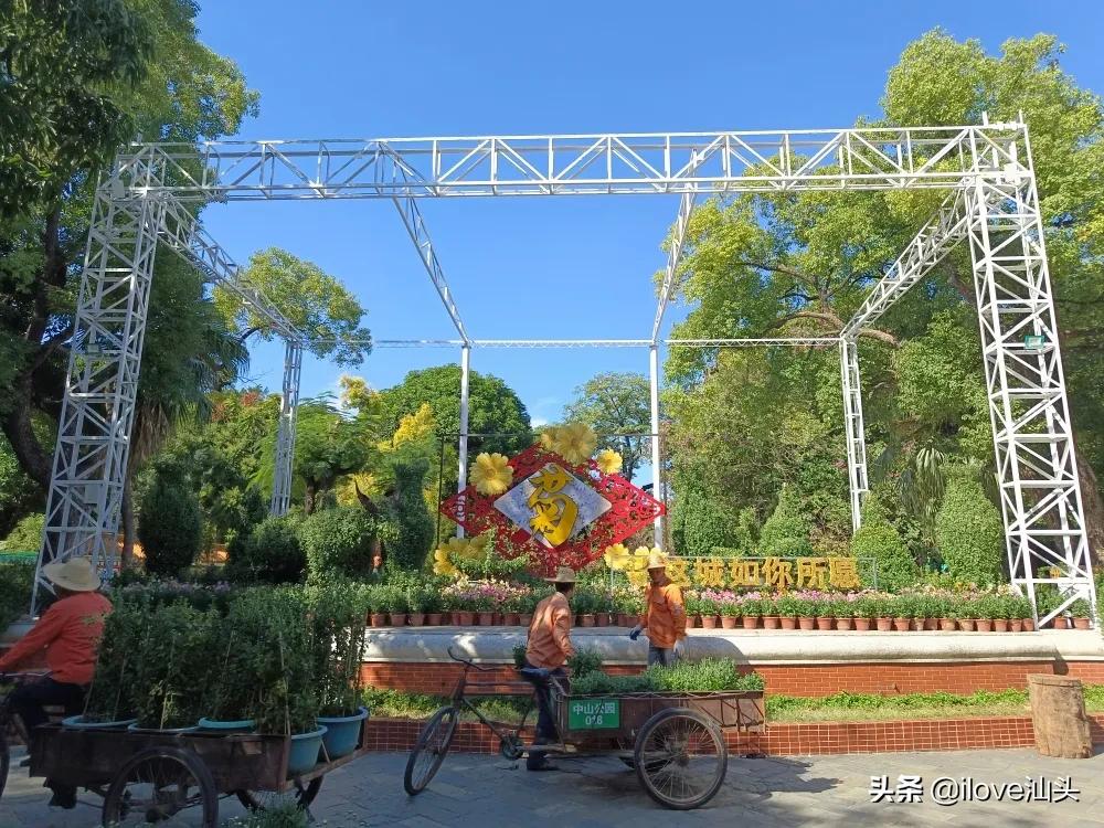 第三十四届菊花展,汕头菊展时间表