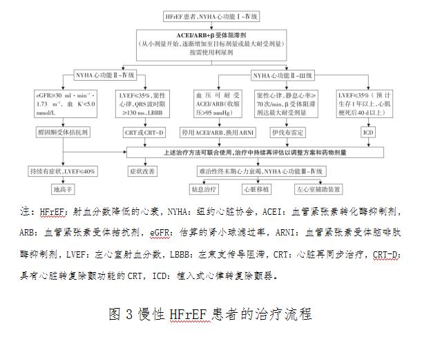 最新心力衰竭指南解读,急慢性心力衰竭诊疗指南解读