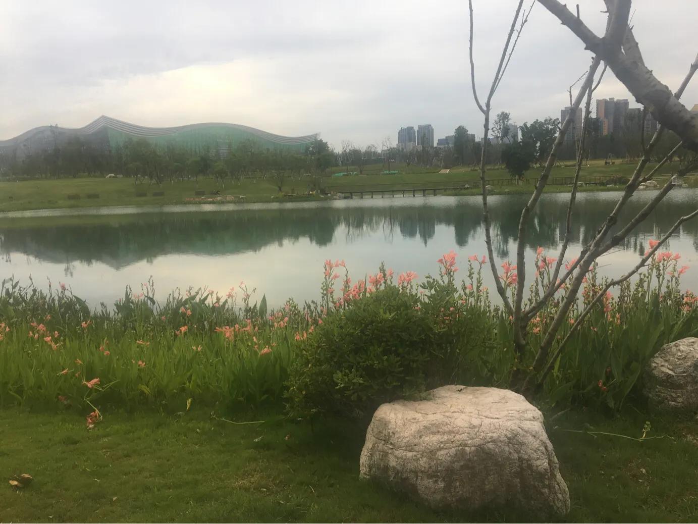 住在成都郊区别墅的体验,成都住在哪个区生活最舒服