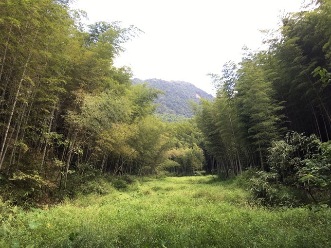 广州从化溪头村一日游出游攻略,从化溪头村自驾游攻略视频