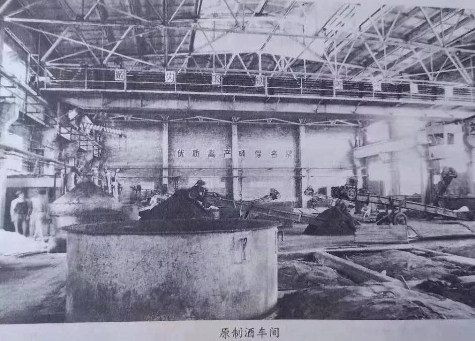 「文化东河」百年老店之骆驼酒厂——“骆驼牌”诞生（一）