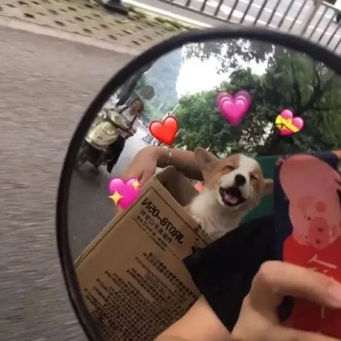 心碎失望的伤感句子句句扎心,心碎失望的句子句句伤感戳心