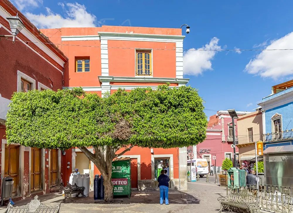 在闲逛中爱上这座城----瓜纳华托