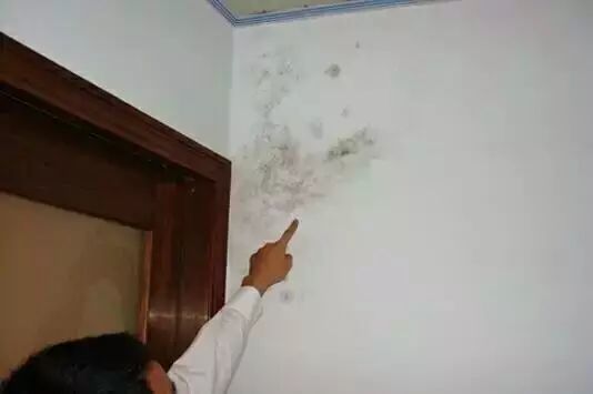 墙面返碱需要多久能干透,墙面渗水返碱了怎么修复