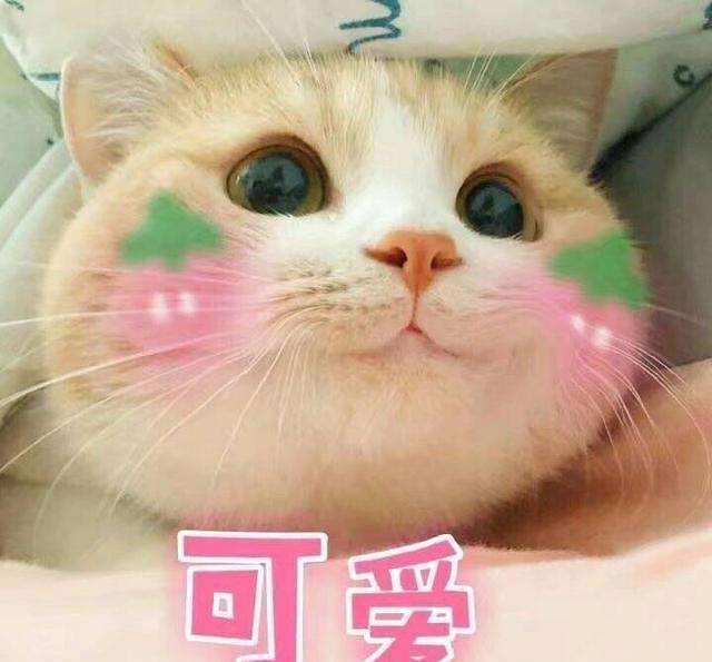 我们查看了10位95后双十二的购物车……｜带货情报局⑦