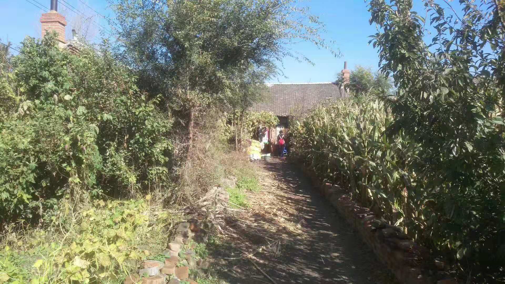 古城往事电视剧第二集在线观看,古城往事电视剧55集