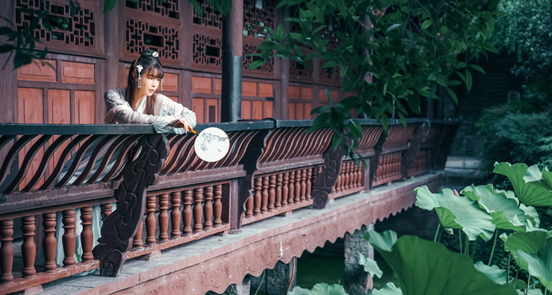 红楼梦中张友士的形象,红楼梦张友士谐音