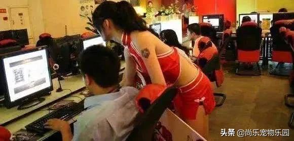 游戏陪玩真的能赚到钱嘛,游戏陪玩行业内幕