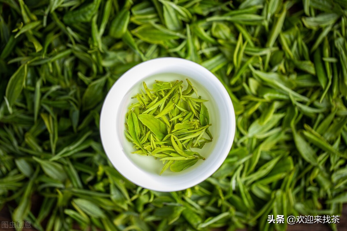 中国十大品牌茶叶排名,中国的十大茶叶品牌最新排名