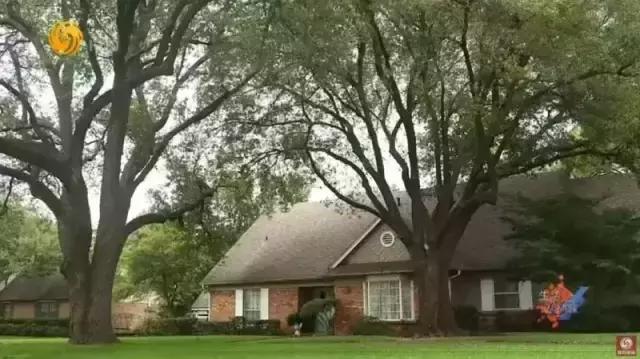 中国留学生富二代的视频,中国富二代国外的真实日常