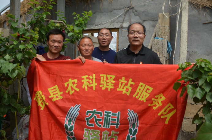 投资果园需要多少钱,投资果园有什么好项目