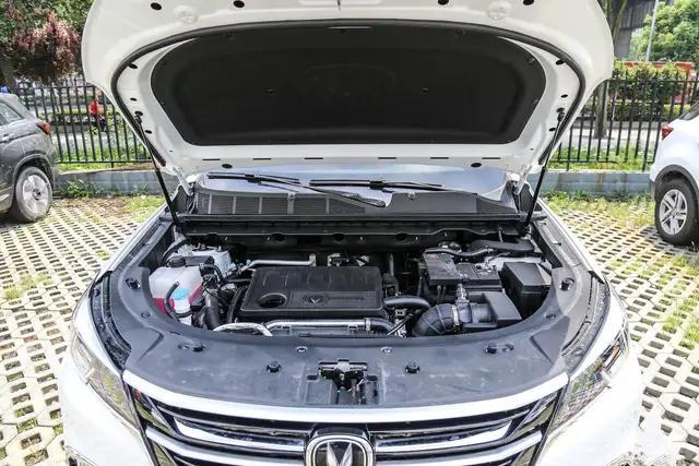 终于没白等,终于没有白等