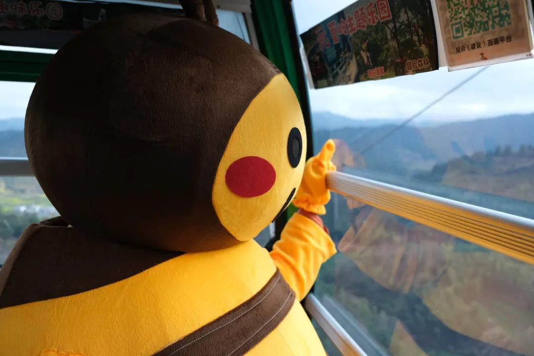 鑺辨湞鑺傝姳浠欏瓙,鑺辨湞鑺傝姳浠欏瓙宸℃父