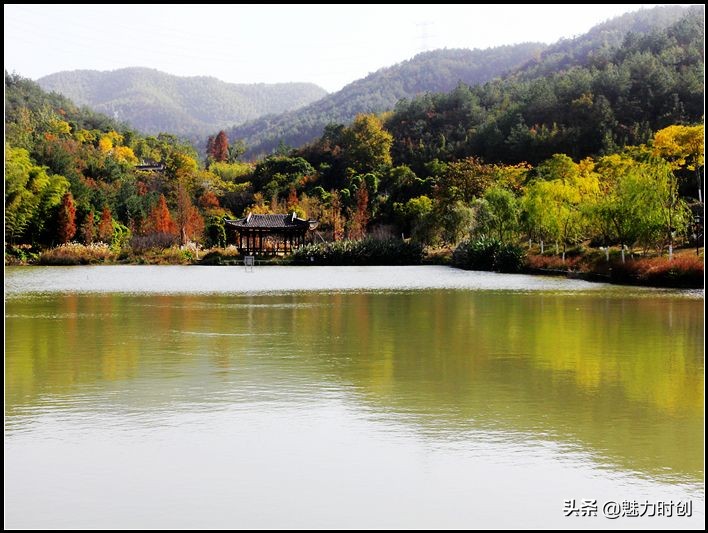 高素质红圈镜头,高画质挂机