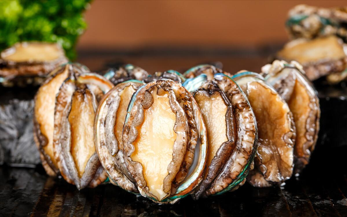 鲍鱼养殖致富经,养殖一亩鲍鱼利润