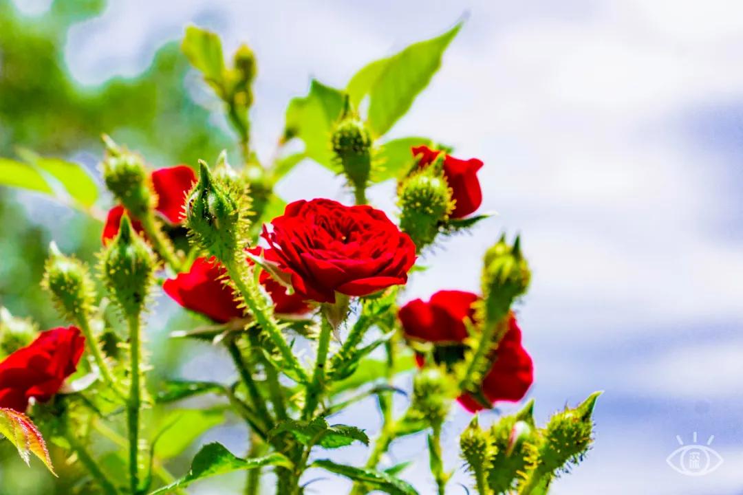 重庆轨道3号线,贵阳地铁3号线