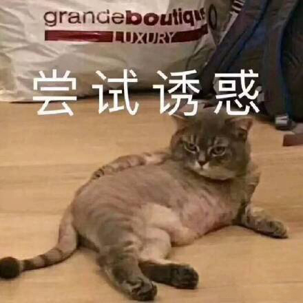 撩男朋友坏坏表情包一套自取,撩男生很甜很撩表情包