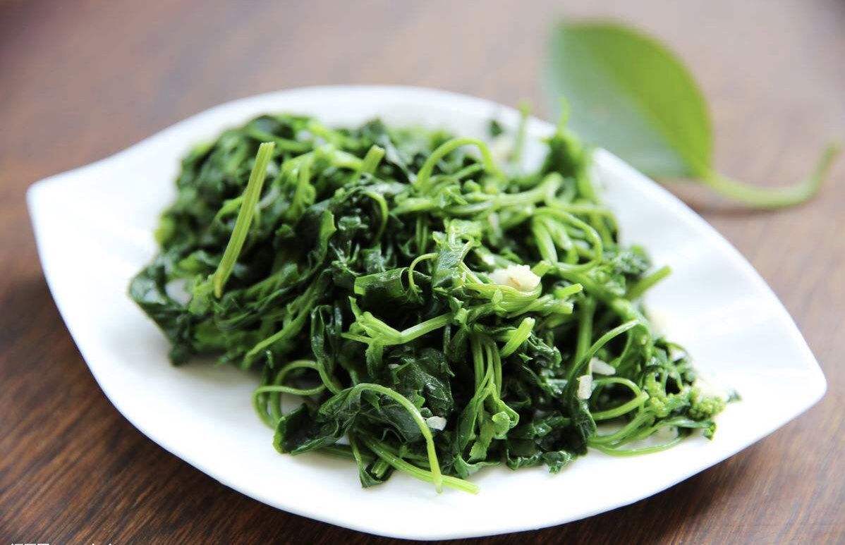 “八珍何得望藜羹”——揭开被陆游推崇备至的灰条菜的美食之谜