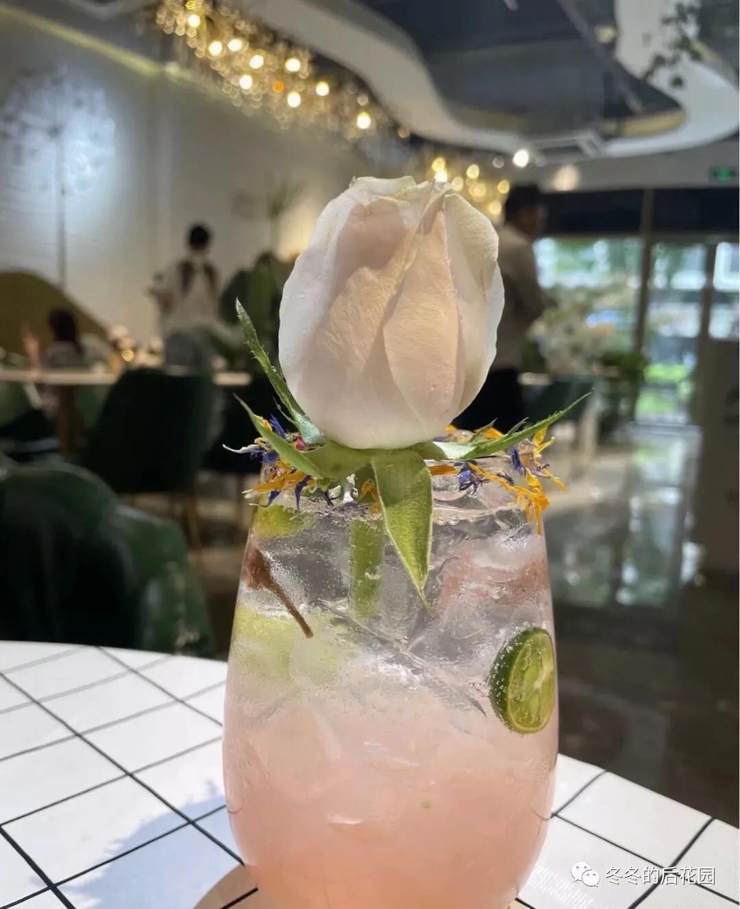 夏日饮品白桃乌龙,白桃乌龙茶品牌推荐