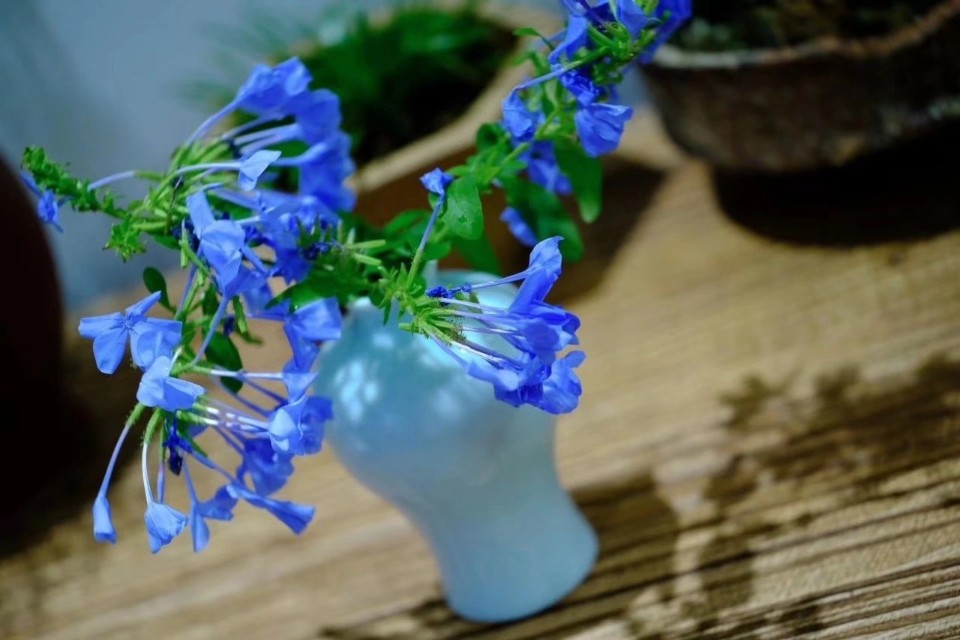 国风雅韵127期,中国诗歌周刊第245期总结