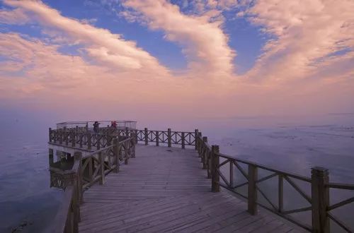 有了这份攻略,上海地铁直达景点