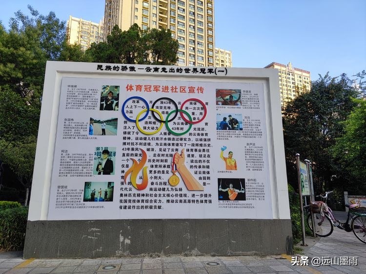 绿树成荫林荫小道,绿树成荫的小路视频