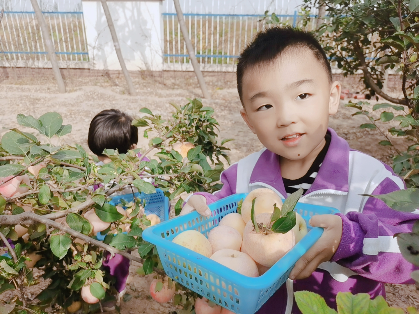 里则中心幼儿园六一,里则中心幼儿园招生