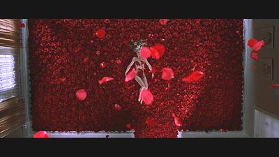 美国丽人风格,美国丽人美国风