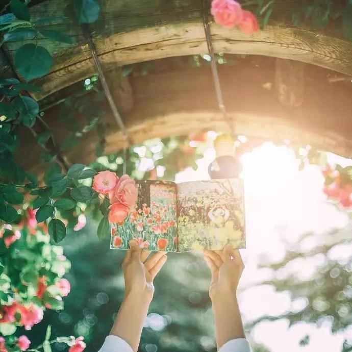 露易丝海生命的重建推荐,露易丝海怎么恢复的