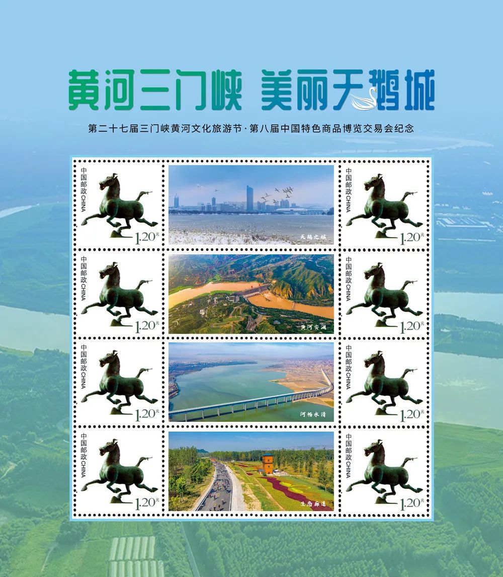 黄河天鹅城风景,一起来啊