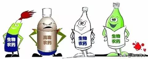 盆栽飞虫怎么杀,盆栽小黑飞虫怎么治