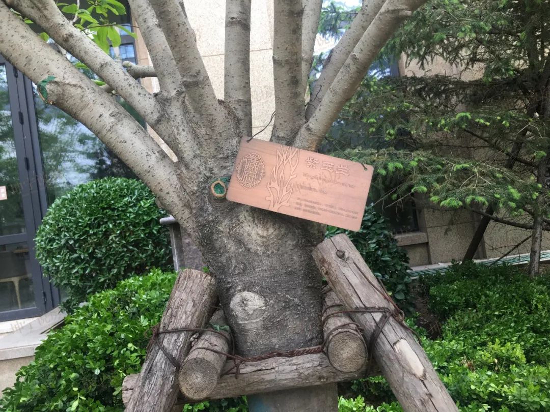 长安区哪个楼盘值得入手,长安板块楼盘有哪些好点