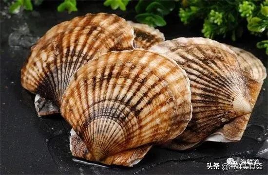 十种最美味海鲜,100种常见海鲜大全图