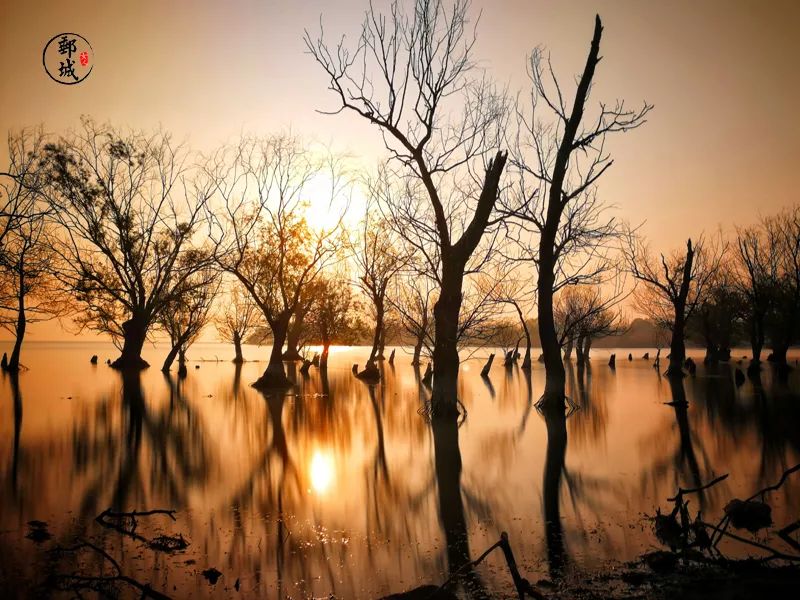 曾经沧海难为水，他乡咸鸭蛋，我实在瞧不上