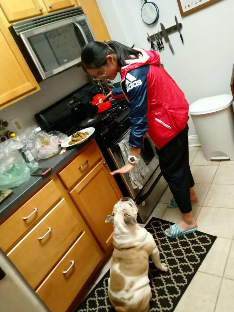 途征旅行,征途2020