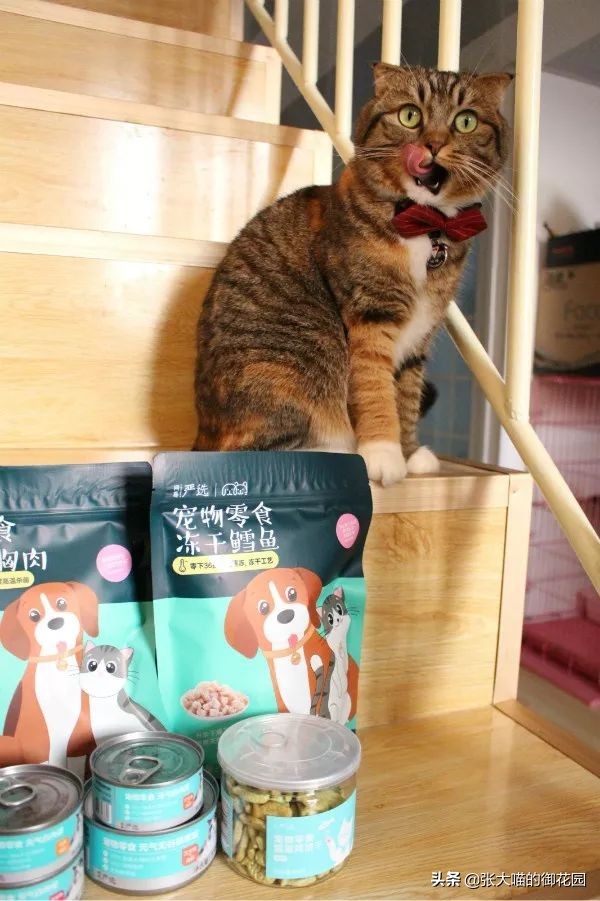 网易严选猫咪冻干零食,网易严选猫零食罐测评