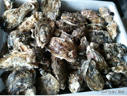 大连有哪些本地人知道的特产,大连特色农产品介绍