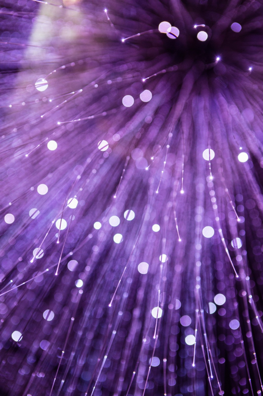 保定卉咖啡生活馆公园时代店,卉咖啡生活馆公元时代店保定