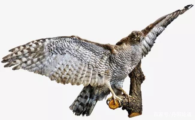 鬼谷子遇到强大的对手,鬼谷子教你3个标准