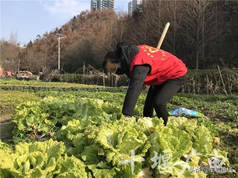 打赢这场仗就回去和你结婚图片,打赢这场仗就回去和你结婚完整版