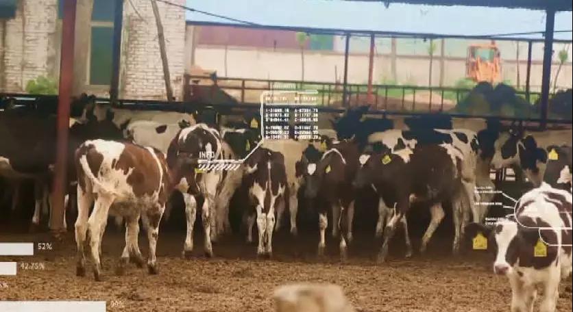 布瑞克农产品数据库,布瑞克农业数据库下载