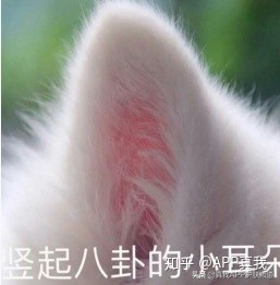 韩国男明星神仙颜值李栋旭,说不出的爱秀智李栋旭完整版