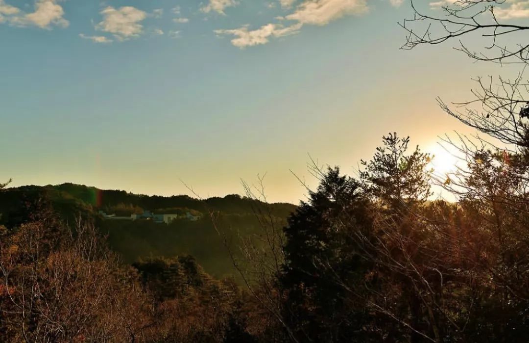 大阪攻略自由行,看惯了千篇一律的高楼大厦