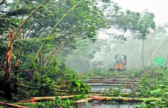 海南18县市气候全面解读,关于海南气候18个市县气候解读