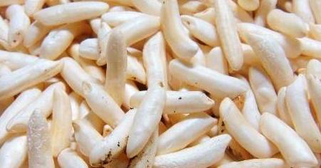 煮出来的米饭更加健康营养美味,鸡蛋放在米饭里煮比较有营养吗